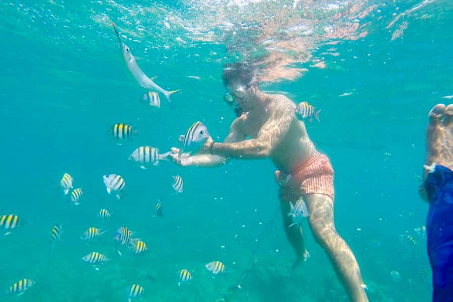 Cartagena: Snorkel, Mangroves and Playa Blanca Tour - Boat comfort and beach vibe: a realistic look at the logistics