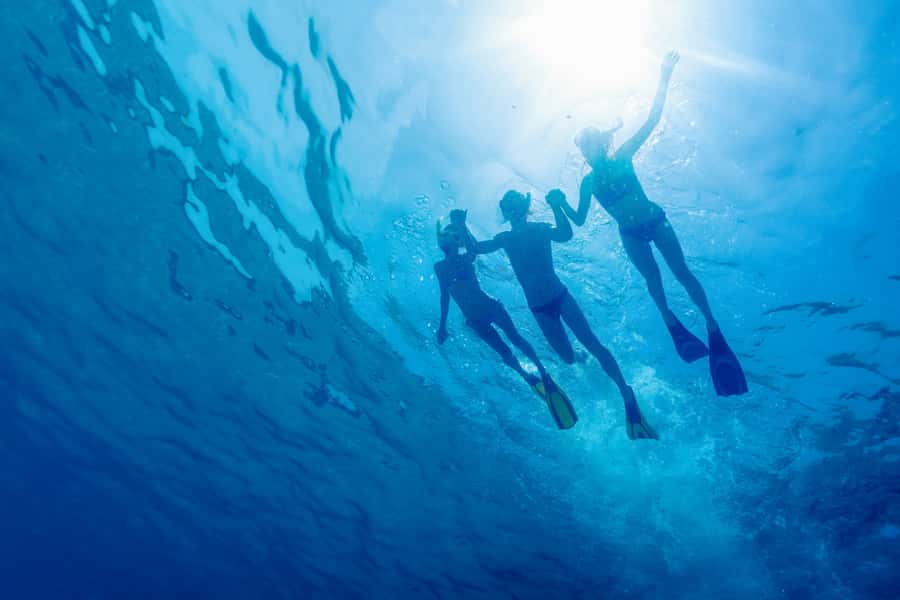Cartagena: Snorkel, Mangroves and Playa Blanca Tour - From 7:30 AM Pickup to Barú Island: how the day starts