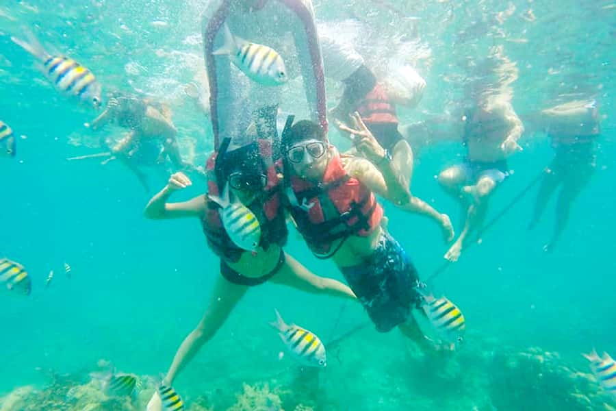 Cartagena: Snorkel, Mangroves and Playa Blanca Tour - Mangrove tunnel walk: birds, iguanas, and the raccoon moment