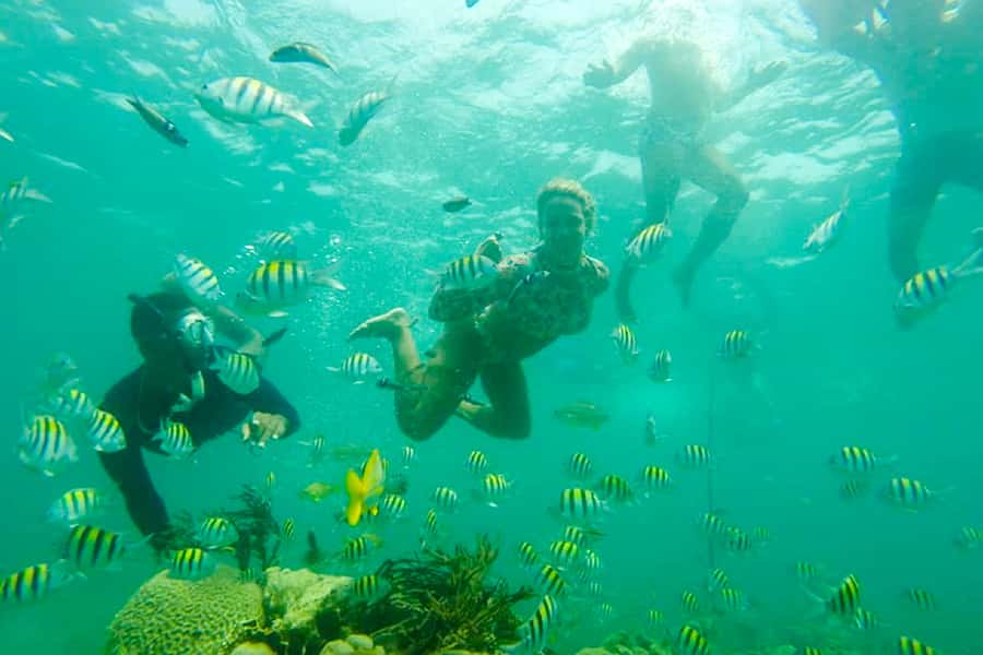 Cartagena: Snorkel, Mangroves and Playa Blanca Tour - Guides, language, and how to make the day feel smooth