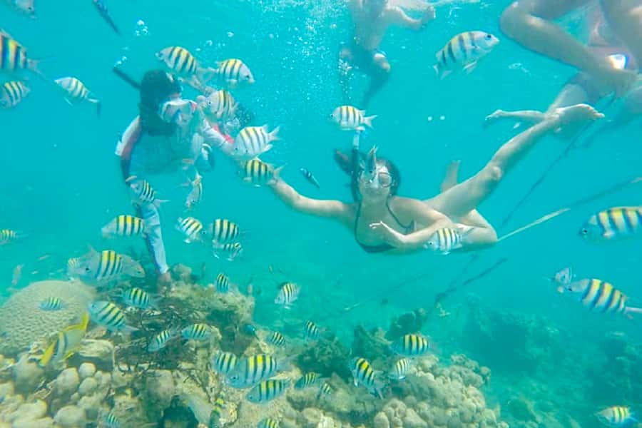 Cartagena: Snorkel, Mangroves and Playa Blanca Tour - The Barú boat ride and snorkeling hour: what you’ll see and what you might miss