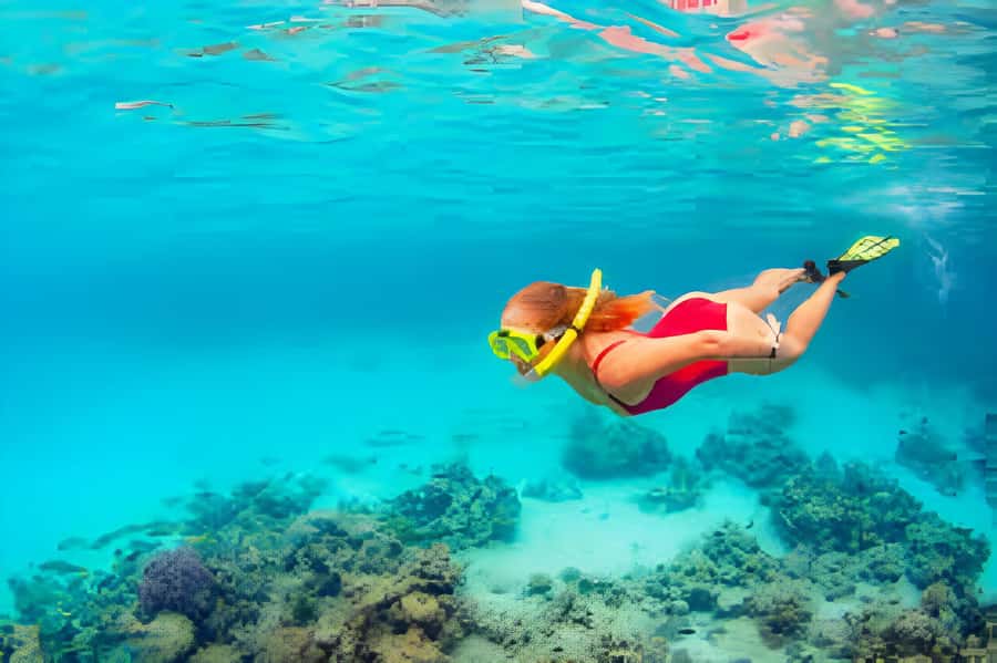 Cartagena: Tour to Playa Tranquila with Snorkeling + Luminous Plankton and Parasol - The Bus to Baru and the Fast Boat Ride: What the Transit Adds (and Takes)