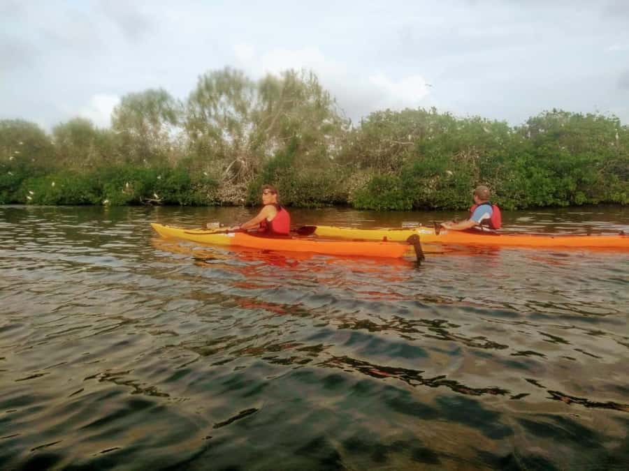 Cartagena: Walled City Kayak Tour - What to bring and how to dress for mangroves and sun