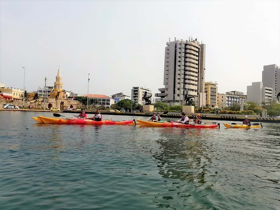 Cartagena: Walled City Kayak Tour - Bird’s island: the final stretch and why it’s worth it