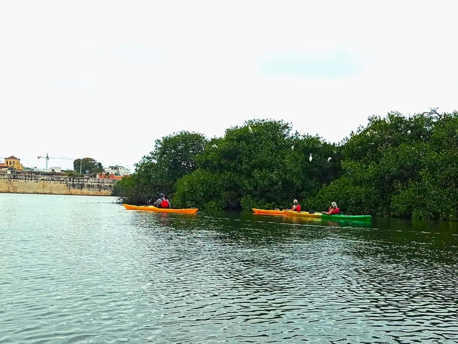 Cartagena: Walled City Kayak Tour - Price and value at around $73 for 90 minutes