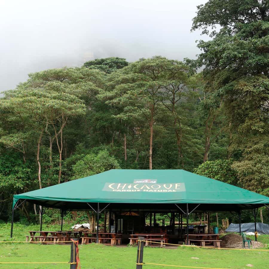 Chicaque Foggy Forest Hike - Key things to know before you go