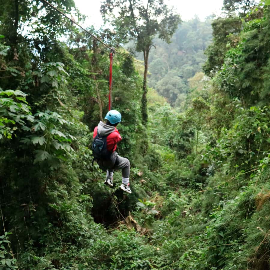 Chicaque Foggy Forest Hike - Riding Out of the City, Seeing the Mountains on the Way