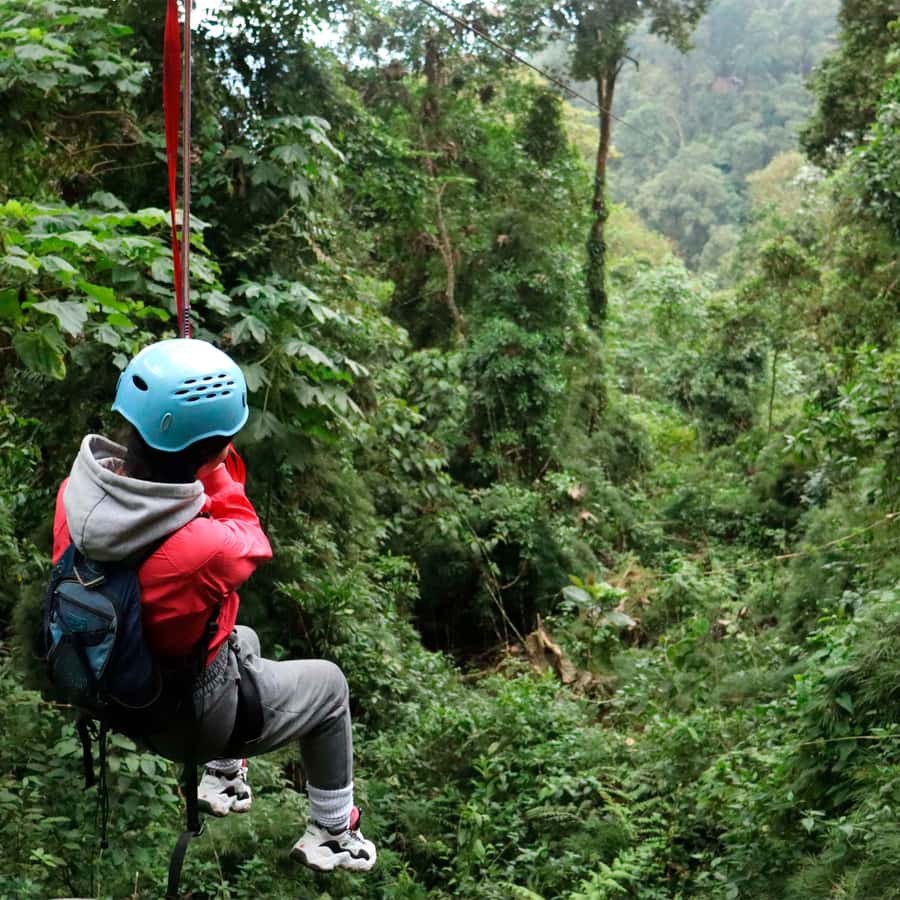 Chicaque Foggy Forest Hike - Waterfalls and Streams: The Moments That Reset the Pace