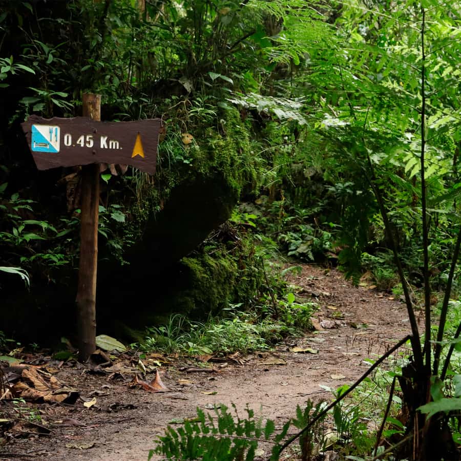 Chicaque Foggy Forest Hike - The 7-Hour Schedule and the Small-Group Advantage