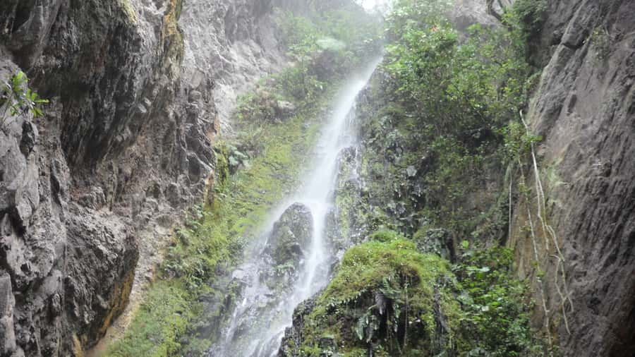 Chicaque Full-Day Trip from Bogotá - Why Chicaque Feels Close to Bogotá, Yet Special