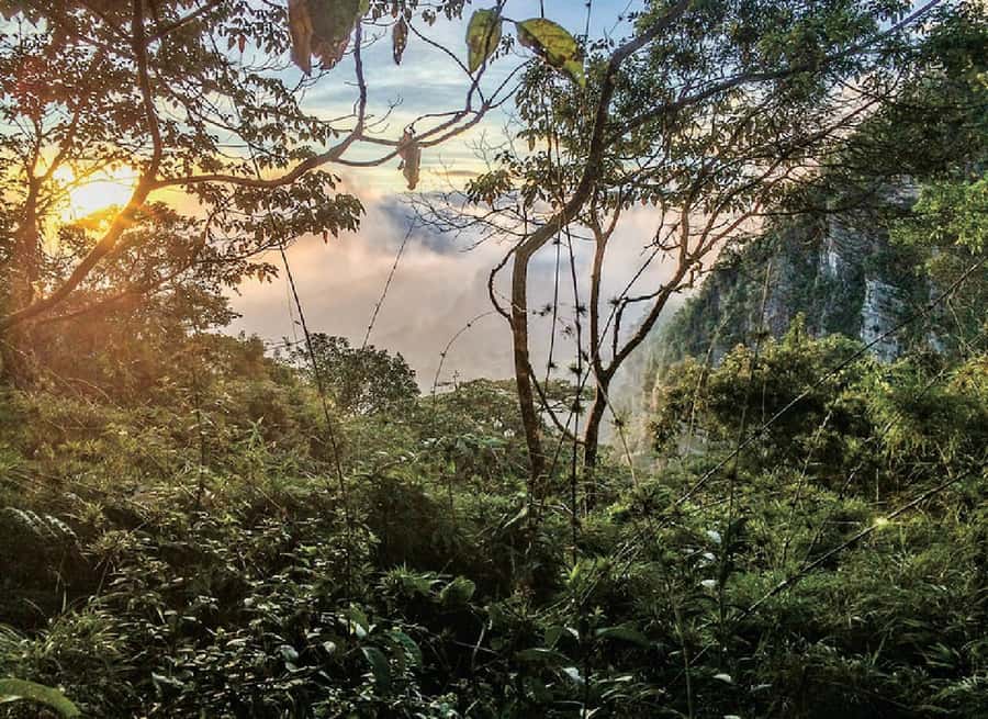 Chicaque Full-Day Trip from Bogotá - The Main Event: Self-Paced Hiking on Nine Trails