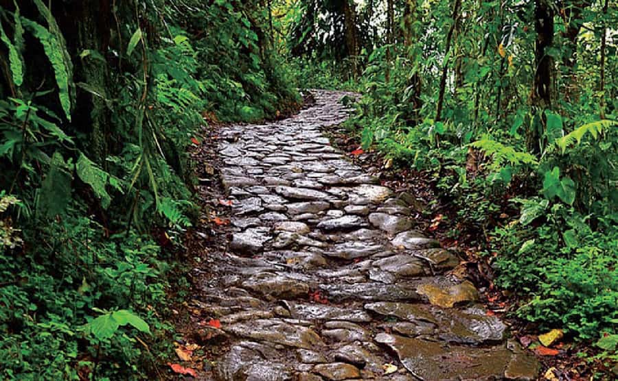 Chicaque Full-Day Trip from Bogotá - Streams, Oak Forest, and Viewpoints Along the Walk
