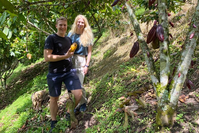 Chocolate tour near Medellin - Medellín pickup and the ride to Copacabana cacao country