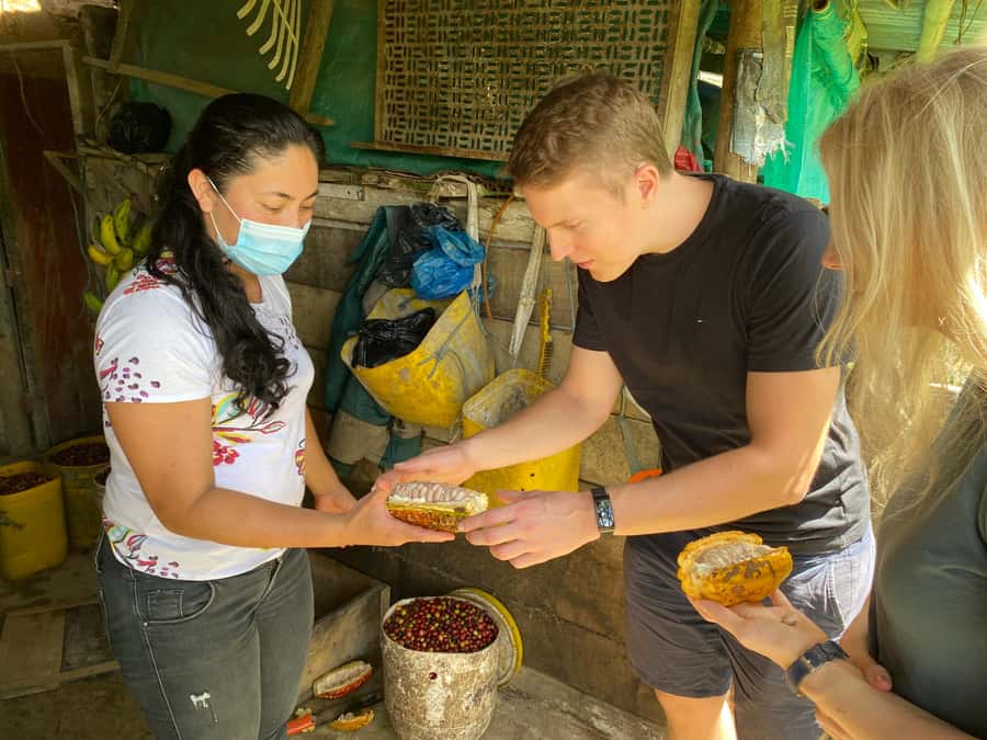 Chocolate tour near the Medellín - Bean-to-bar in 6 hours: what you do all day