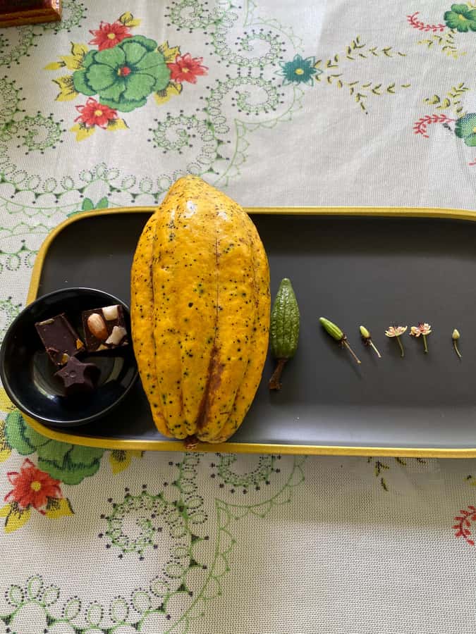 Chocolate tour near the Medellín - The cacao process, step by step: what happens to the bean