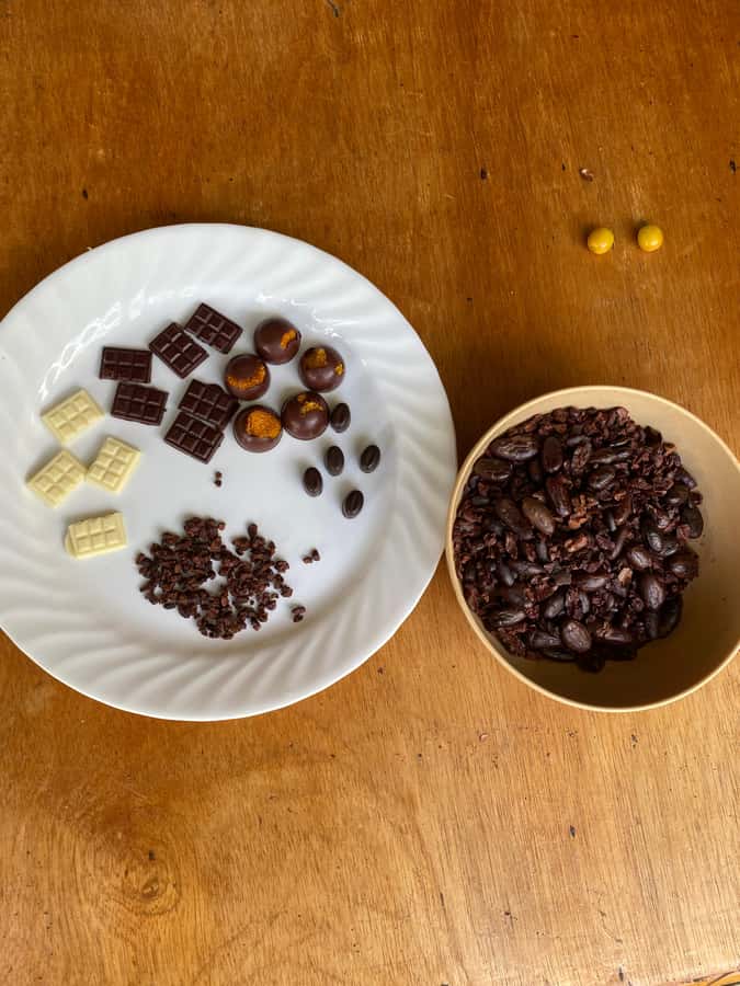 Chocolate tour near the Medellín - Tastings that go beyond bars: hot cacao, nibs, and farm fruit