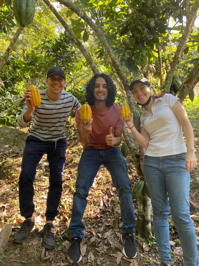 Chocolate tour near the Medellín - Who this tour suits best, and who should skip it