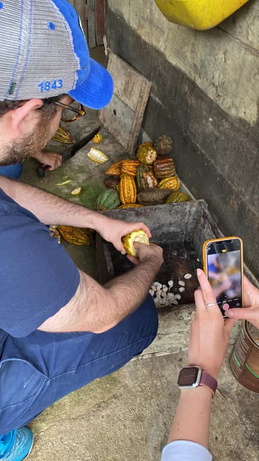 Chocolate tour near the Medellín - Medellín pickup and the countryside drive you’ll feel