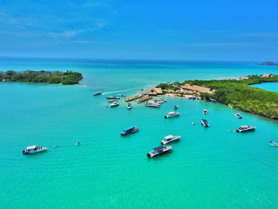 Cholon Forever Boat Party - Cholón Forever Boat Party: the plan behind the party