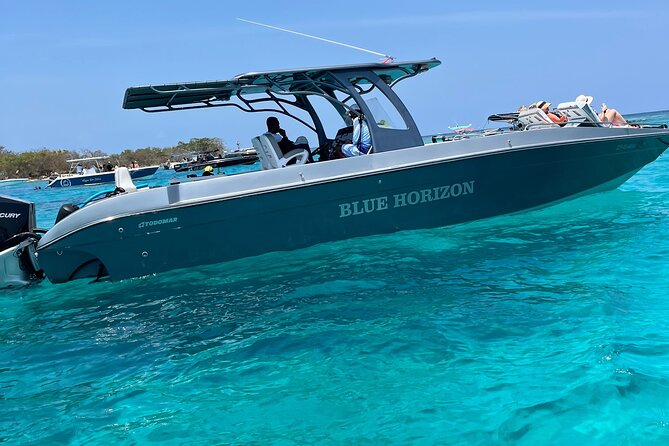 Cholon The party island, with DJ on board - Price and logistics: is $99 a good deal for you?