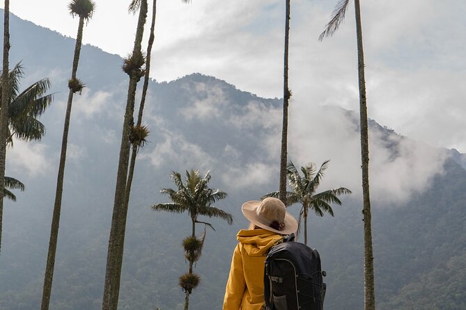 Cocora Valley and Salento Hike Tour - The 6-hour private rhythm: what the day feels like