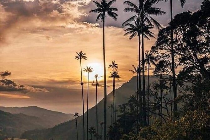 Cocora Valley and Salento Hike Tour - Guides make or break the hike, and here’s what you can expect