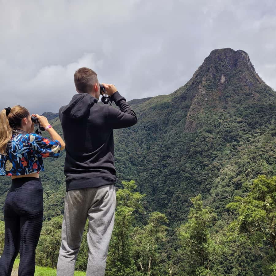 Cocora Valley: Route of the Hummingbirds + breakfast & lunch - Ascending toward Morrogacho, then descending through palm-rich birding