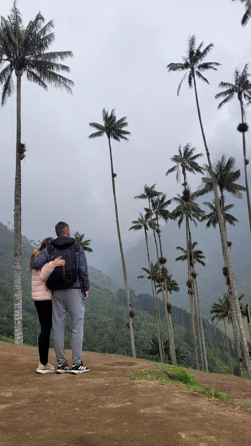 Cocora Valley: Route of the Hummingbirds + breakfast & lunch - Lunch and local stops, how the day stays comfortable