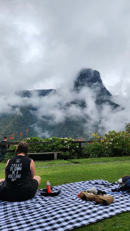 Cocora Valley: Route of the Hummingbirds + breakfast & lunch - Binocular help, photo support, and the small-group advantage