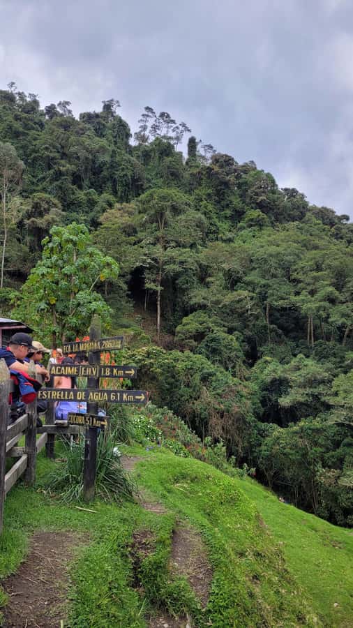 Cocora Valley: Route of the Hummingbirds + breakfast & lunch - Who should book the Hummingbirds Route, and who should skip it
