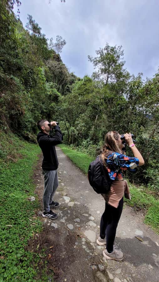 Cocora Valley: Route of the Hummingbirds + breakfast & lunch - Guides and languages, what that means for your day
