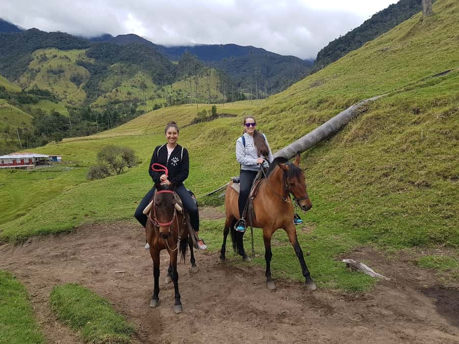 Cocora Valley: Salento & Private Horseback Riding Tour - Pickup and timing: how the 6-8 hours usually feels