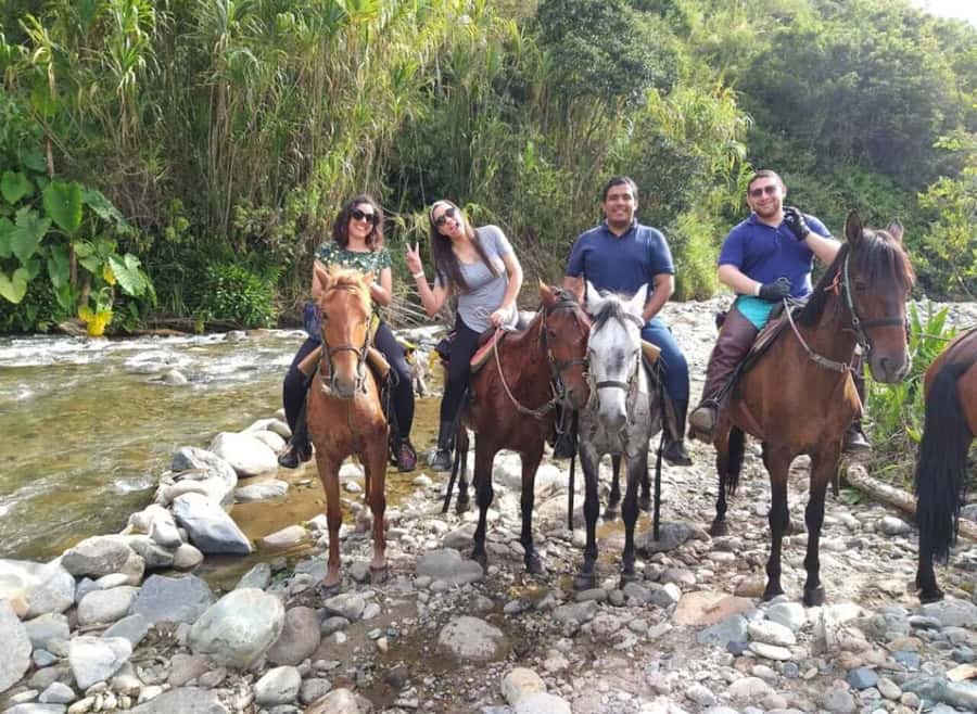 Cocora Valley: Salento & Private Horseback Riding Tour - Cocora Valley: wax palms, photo moments, and a short walk