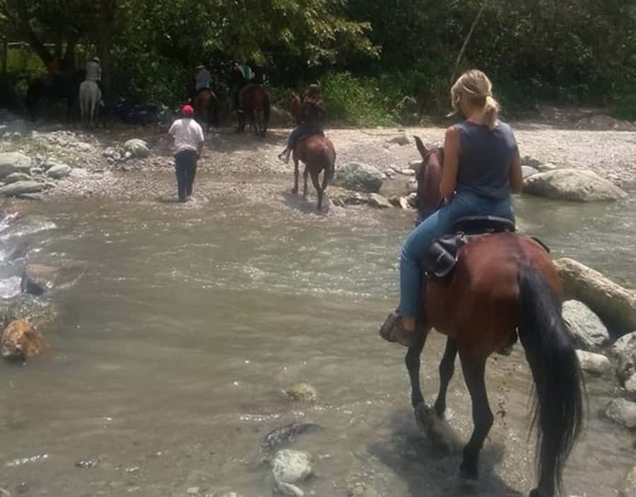 Cocora Valley: Salento & Private Horseback Riding Tour - Guides, organization, and why people rate this so highly