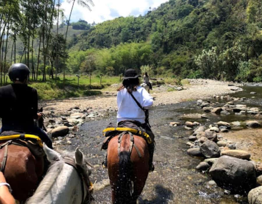 Cocora Valley: Salento & Private Horseback Riding Tour - Salento horseback riding: viewpoints first, then the local context