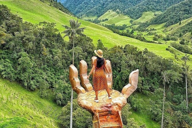Cocora Valley Tour and Coffee Farms - Walking Cocora Valley: Wax Palms, Viewpoints, and Photo Parks