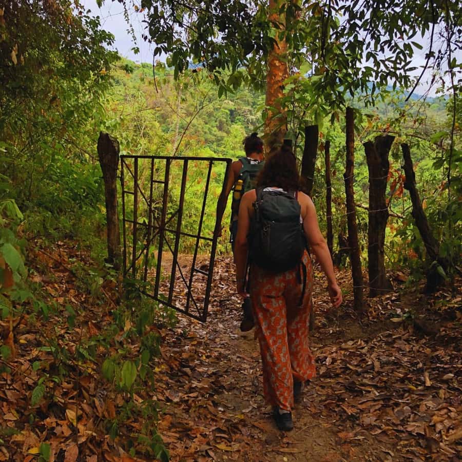 Coffee, Cocoa and Trekking Tour in Minca: Nature, Crops and Production - Stop 1: Parque de Minca start point and getting your bearings