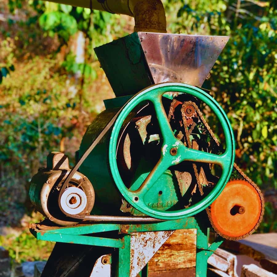 Coffee, Cocoa and Trekking Tour in Minca: Nature, Crops and Production - Stop 2: Puente de Minca, an hour of guided trail time