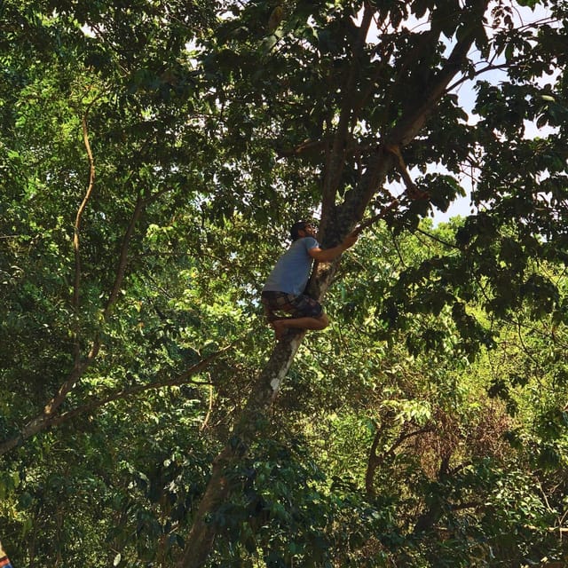 Coffee, Cocoa and Trekking Tour in Minca: Nature, Crops and Production - What to really taste: how to make your coffee and cocoa tasting work for you