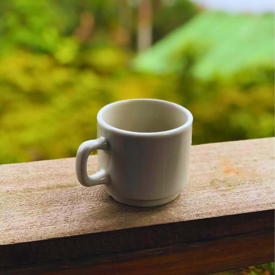 Coffee, Cocoa and Trekking Tour in Minca: Nature, Crops and Production - Views, wildlife, and the Sierra Nevada factor