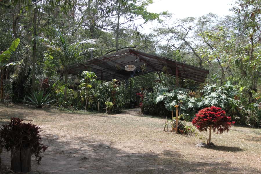 Coffee Experience: Hacienda Coloma Tour from Bogotá - What to Bring (and What to Skip) for a Smooth Coffee Day