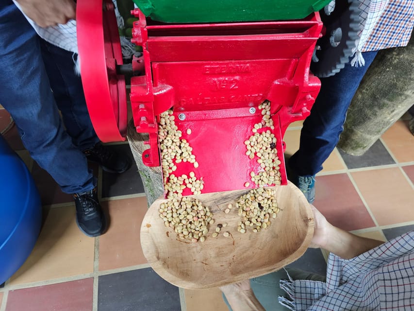 Coffee Experience with roasting show in Comuna 13 - Should You Book Medallo Coffee in Comuna 13?