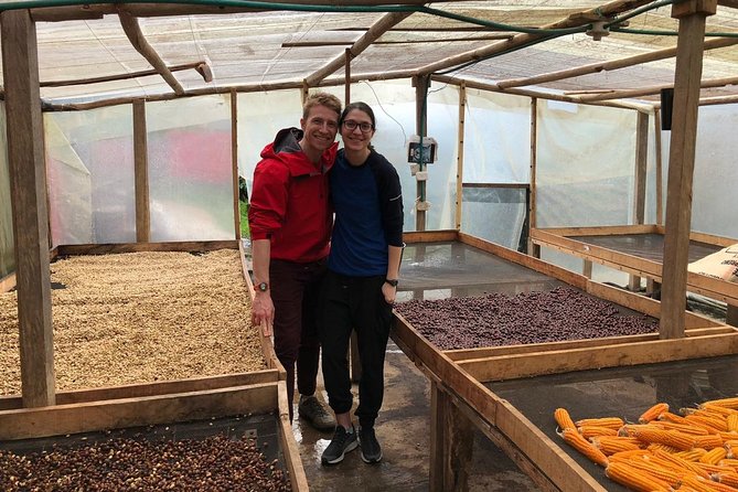 Coffee Farm and Salento Walking Tour - The guide experience: names to watch for, and what to expect