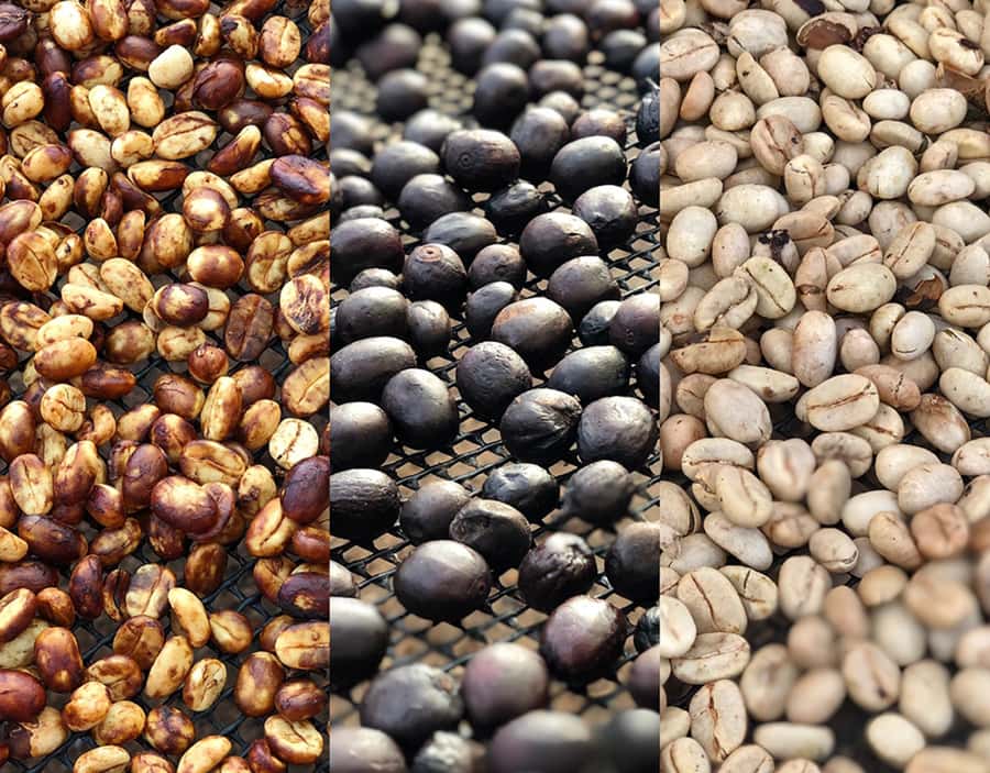 Coffee Farm and Salento Walking Tour - Who this tour is best for in Tolima
