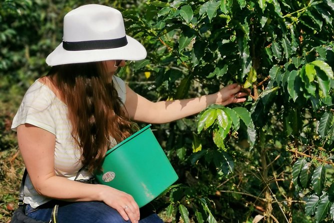 Coffee Farm & ATVs Private Tour in Medellin: Stunning Views & Fun - Key Things to Know Before You Go