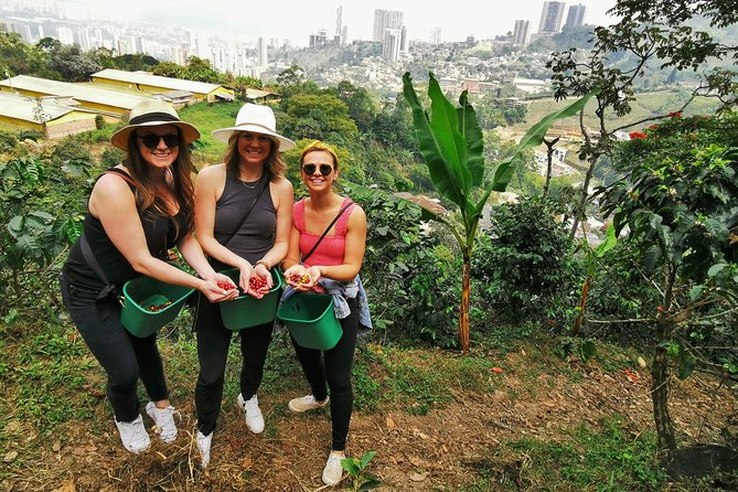 Coffee Farm & ATVs Private Tour in Medellin: Stunning Views & Fun - Guarne ATV Session: Training, Protective Gear, and Mountain Grabs