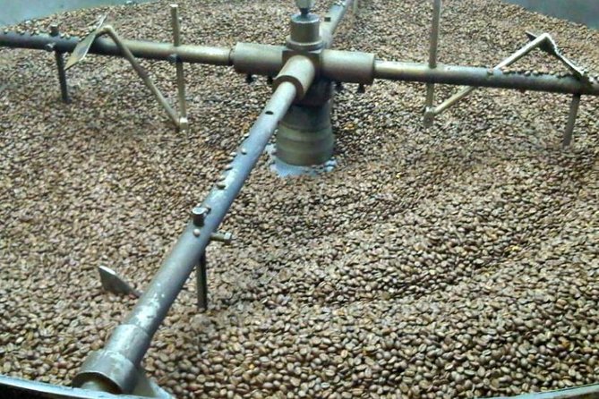 Coffee Farm Experience Private Day Tour - Private coffee farm day from Bogotá: how the whole experience feels