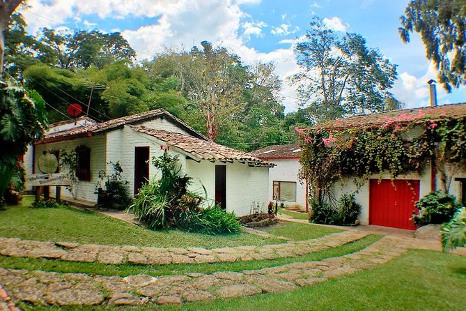 Coffee Farm Experience Private Day Tour - Coffee from plants to your cup: how the guides explain it