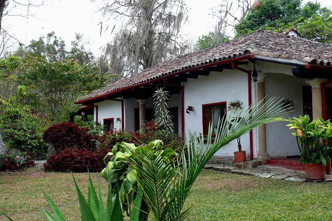 Coffee Farm Experience Private Day Tour - Tasting time: coffee tasting and coffee liquor tasting