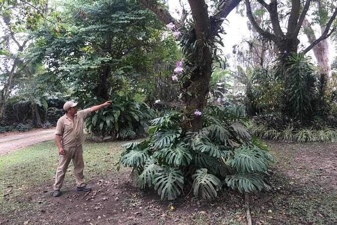 Coffee Farm Experience Private Day Tour - Lunch on the option: traditional Colombian food and diet flexibility
